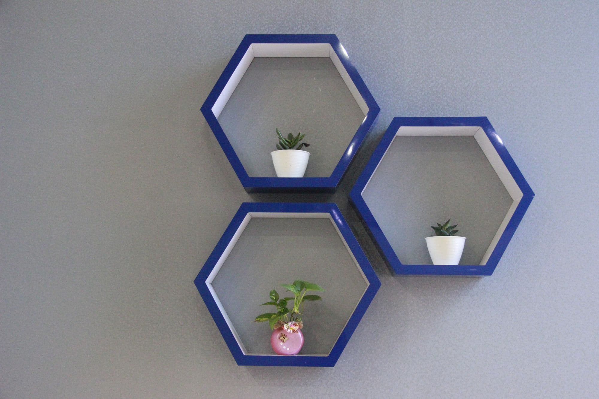 Hexagonal wall shelves holding potted plants
